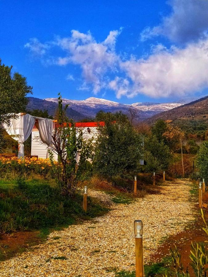 Hayal Tadinda Hotel İzmir Luaran gambar